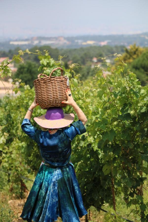 Quinta Da Chapeleira Em Azeitao Villa Ngoại thất bức ảnh