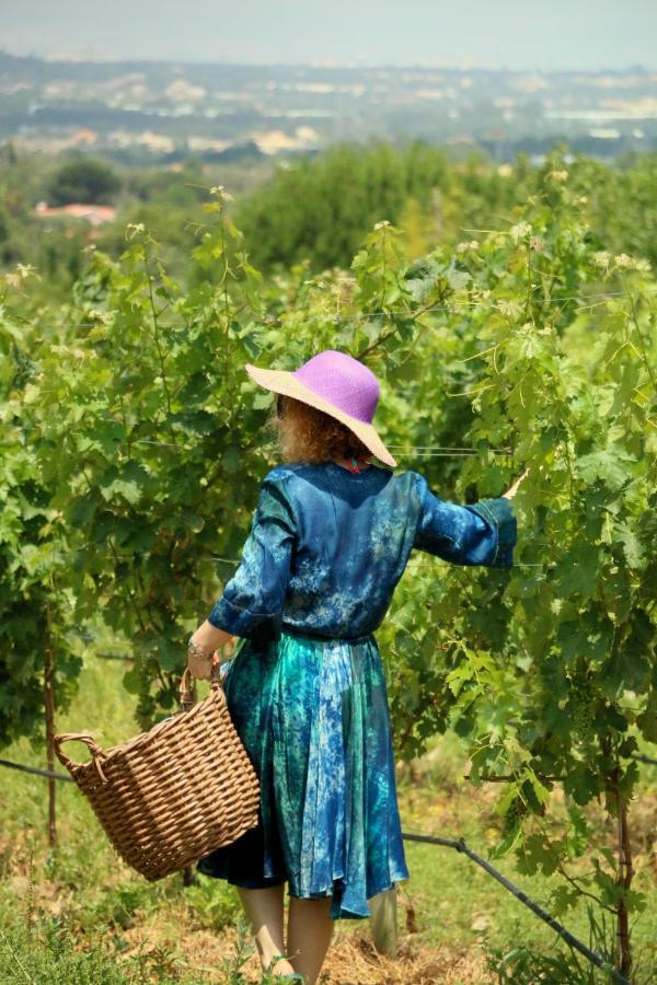 Quinta Da Chapeleira Em Azeitao Villa Ngoại thất bức ảnh