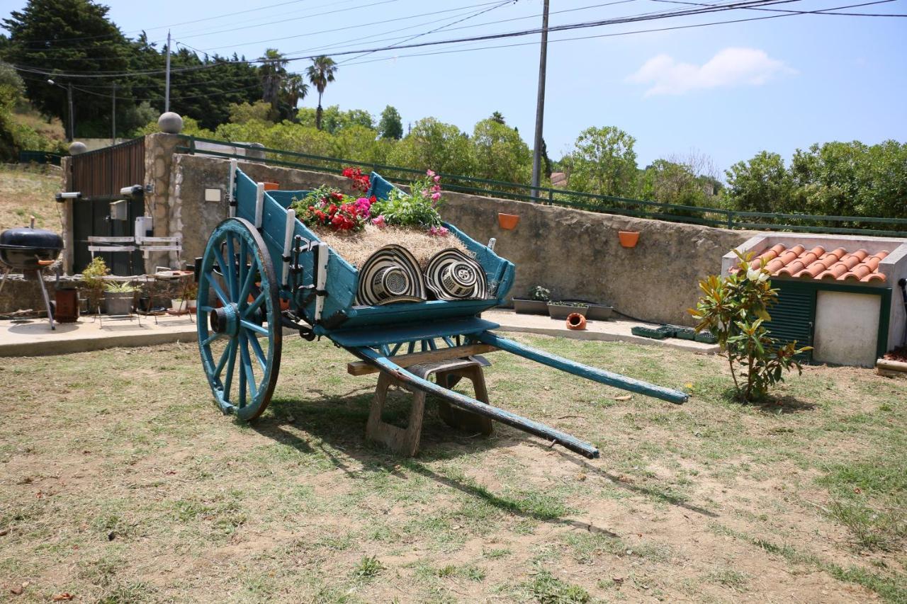 Quinta Da Chapeleira Em Azeitao Villa Ngoại thất bức ảnh